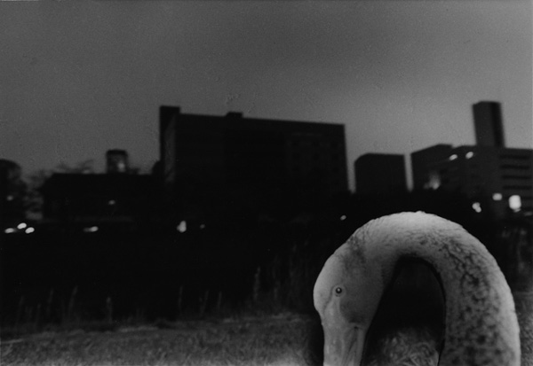 Luminance of Streets #6