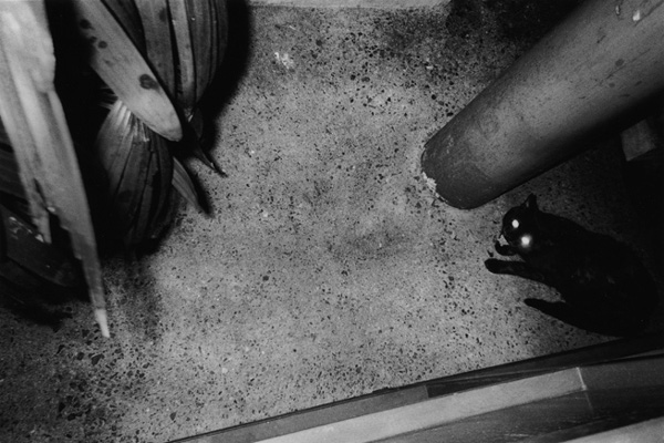 Luminance of Streets #8